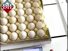 छोटे अंडे इंकजेट प्रिंटर Xy अक्ष बुद्धिमान अंडे इंकजेट प्रिंटर पूरी तरह से स्वचालित