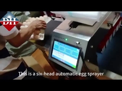 छह नोजल स्वचालित अंडे स्प्रे कोडिंग मशीन मुद्रण